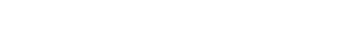 true ground transparent logo